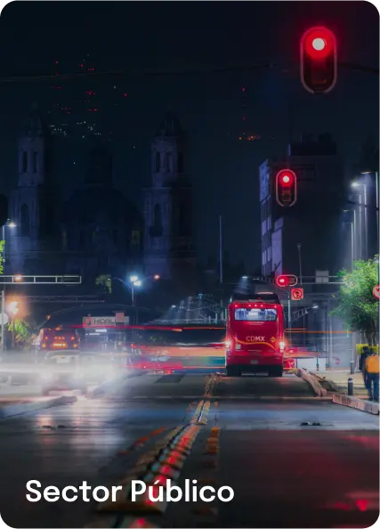 Sector Público